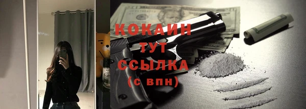 2c-b Рославль