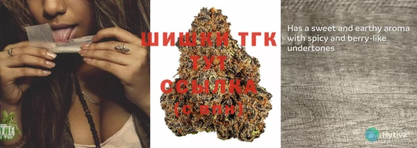 2c-b Рославль