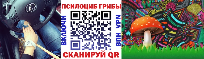 Псилоцибиновые грибы мицелий Лакинск